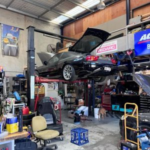 WhatsApp-Image-2025-02-01-at-16.32.05-1